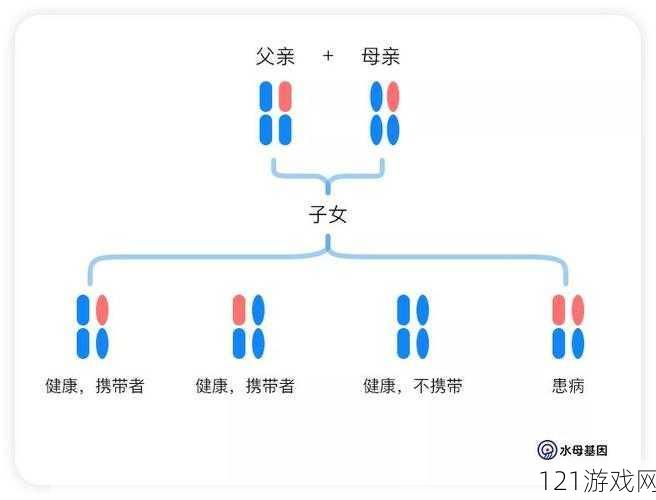 DNA 相同吗：母亲与儿子的遗传奥秘