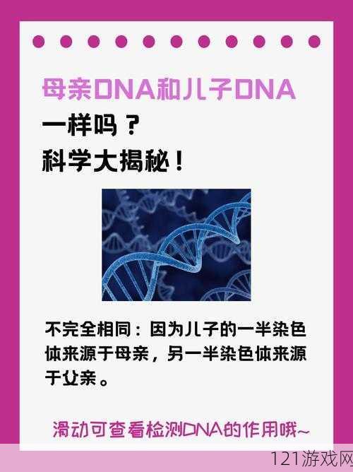 母亲 DNA 与儿子 DNA 一致的奥秘