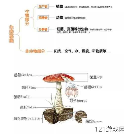 开荤之后金粥笔趣阁：探索神秘的小说世界