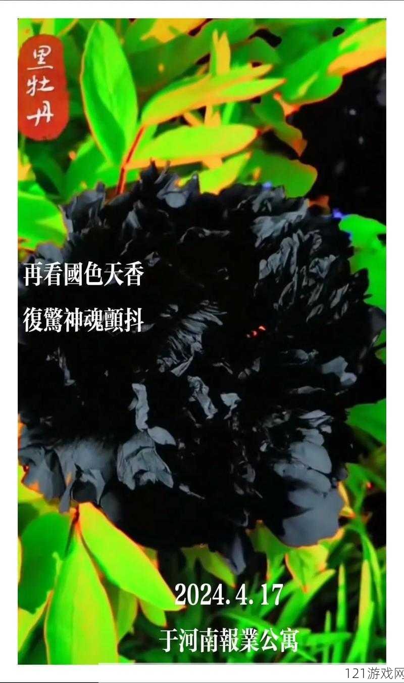 国色天香综合征：一种罕见的性偏好障碍