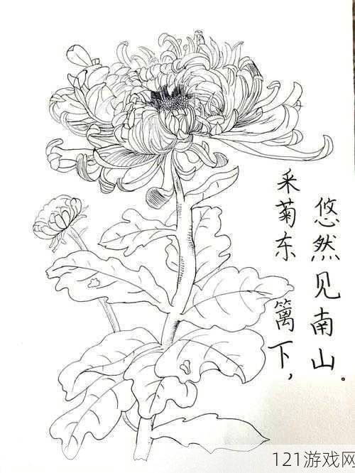 答错一题菊花放一支笔：答题挑战规则