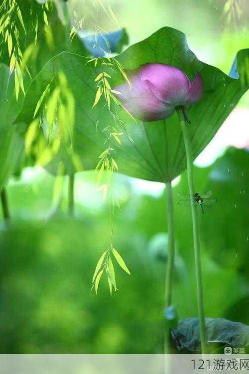 雨打芭蕉电影免费观看高清：精彩不容错过